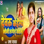 Devru Kahela Bhauji Lagelu Bawal