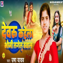 Devru Kahela Bhauji Lagelu Bawal