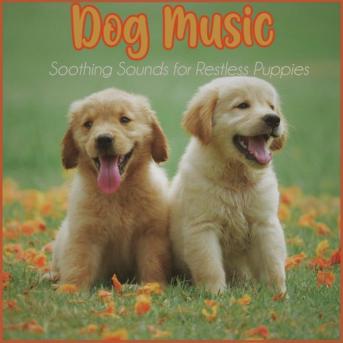 Dog Music: Soothing Sounds for Restless Puppies