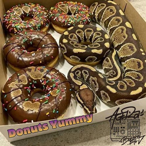 Donuts Yummy