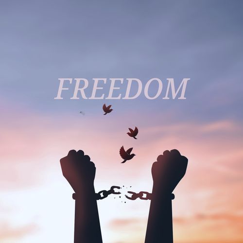 FREEDOM_poster_image