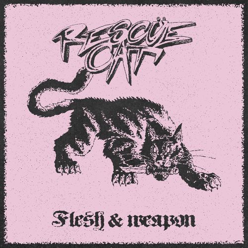 Flesh & weapon cover art