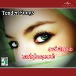 Kan Pesum Varthaigal - Tender Songs