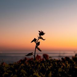 Love. (wave to earth) - Piano Version