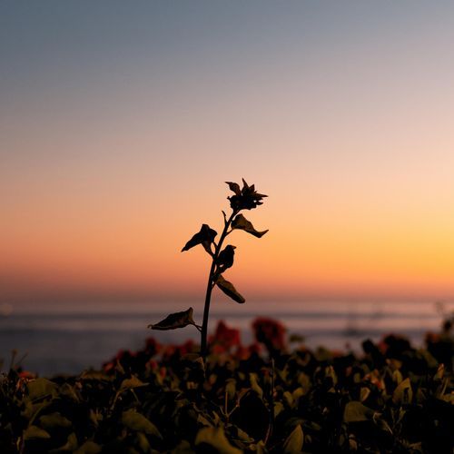 Love. (wave to earth) – Piano Version