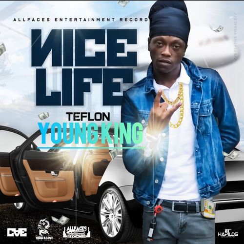 Nice Life cover art