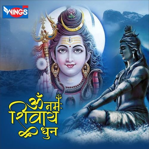 Om Namah Shivay Dhun