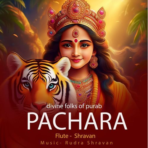 Pachara - flute