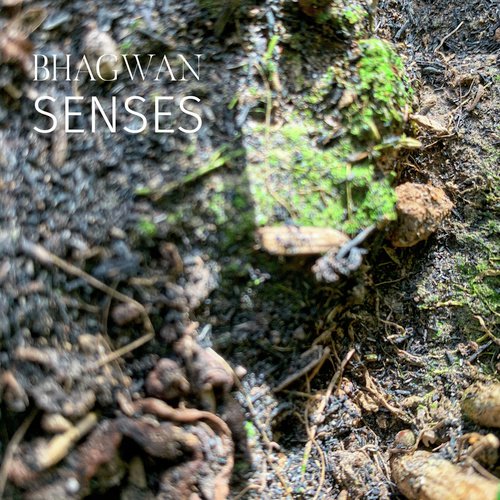 Senses