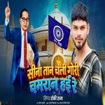 Sina Tan Chali Gori Chamran Hai Re
