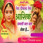 Tera Diwana Tera Aashiq Pagli Pal Pal Rota Hai