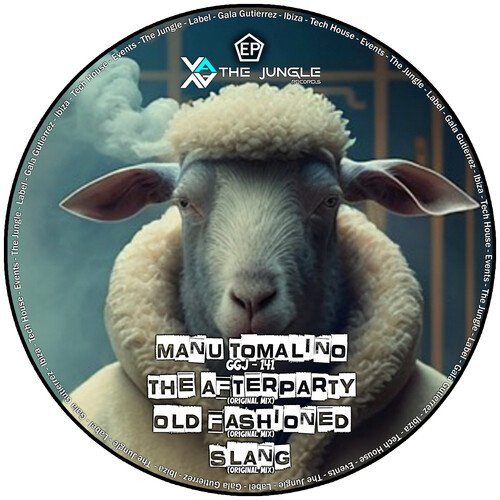 The Afterparty (Original Mix) cover art