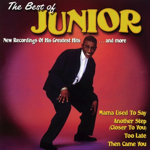 The Best of Junior - Mama Used to Say_poster_image