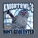 Here Comes Knigtowl