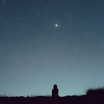 The night I miss you