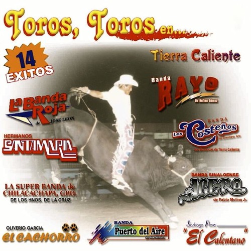 Toros, Toros en Tierra Caliente (14 Exitos)_poster_image