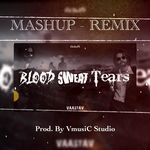 VAASTAV Mashup (Remix)