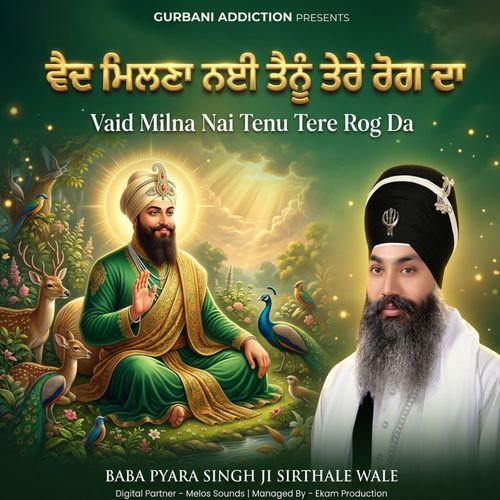 Vaid Milna Nai Tenu Tere Rog Da