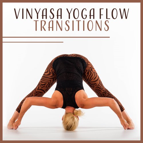 Vinyasa Yoga Flow Transitions (Exercises to Safely Navigate, Suppleness and Radiant Health, Balancing Poses, Marma Energy Points)