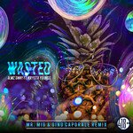 Wasted (Mr. Mig & Gino Caporale Extended Mix)
