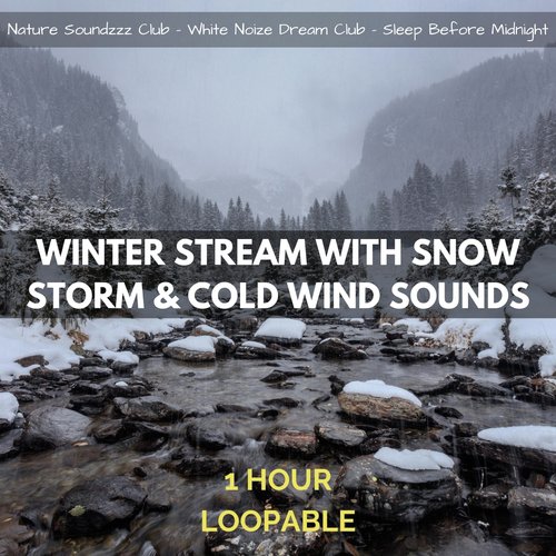 Winter Stream with Snow Storm & Cold Wind Sounds: 1 Hour (Loopable)_poster_image