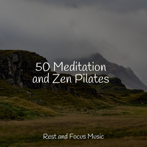 50 Meditation and Zen Pilates