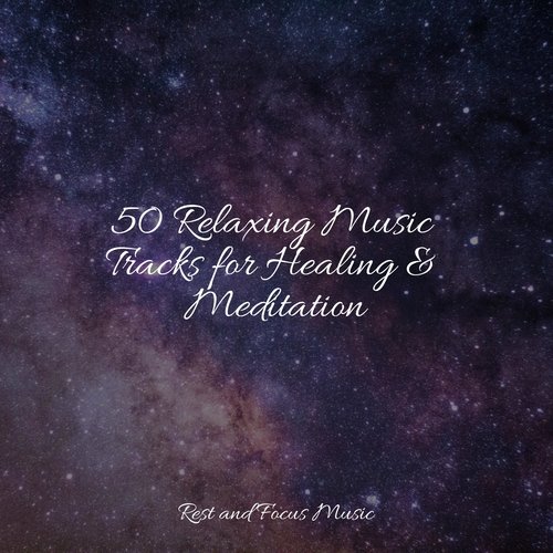 50 Relaxing Music Tracks for Healing &amp; Meditation_poster_image