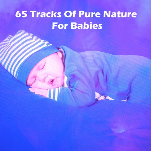 65 Tracks Of Pure Nature For Babies