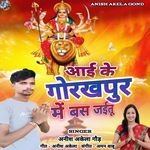 Aai Ke Gorakhapur Me Bas Jaitu