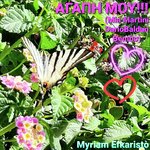 Agapi Mou!