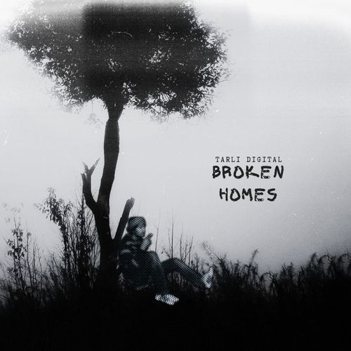 Broken Homes