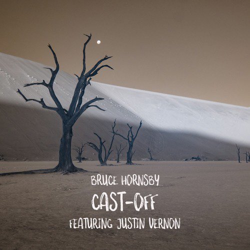 Cast-Off (feat. Justin Vernon)_poster_image