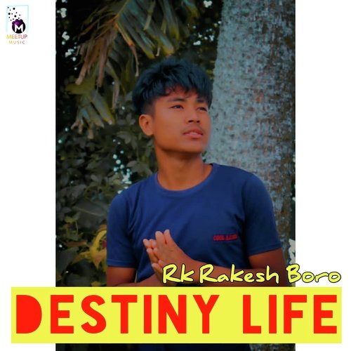 Destiny Life