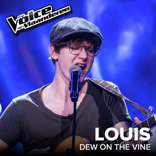 Dew On The Vine (The Voice Van Vlaanderen 2017 / Live)