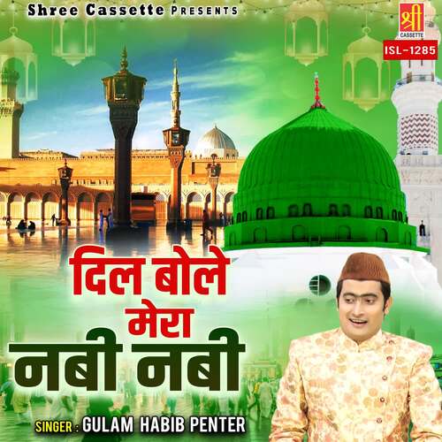 Dil Bole Mera Nabi Nabi