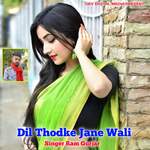 Dil Thodke Jane Wali