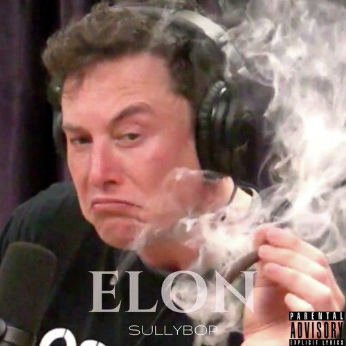 Elon cover art
