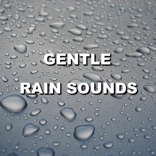 Rain Water Sounds cover art
