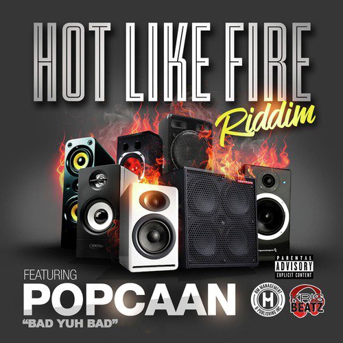 Hot Like Fire Riddim_poster_image