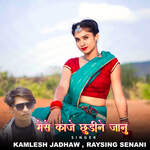 Mese Kaje Chhudine Janu