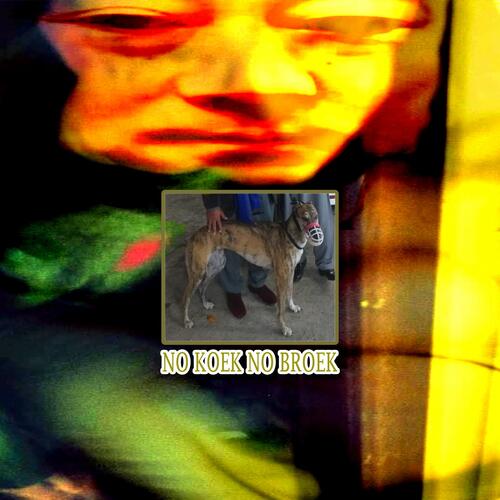 steen cover art