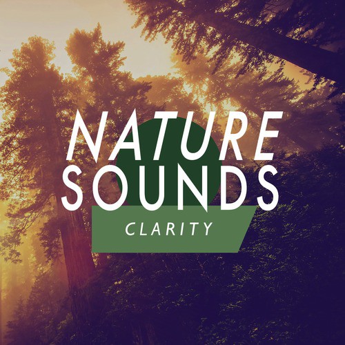 Nature Sounds: Clarity