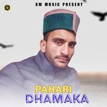 PAHARI DHAMAKA artwork