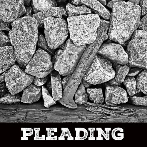 Pleading_poster_image