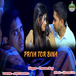 Priya Tor Bina-L1EsewVpRkM