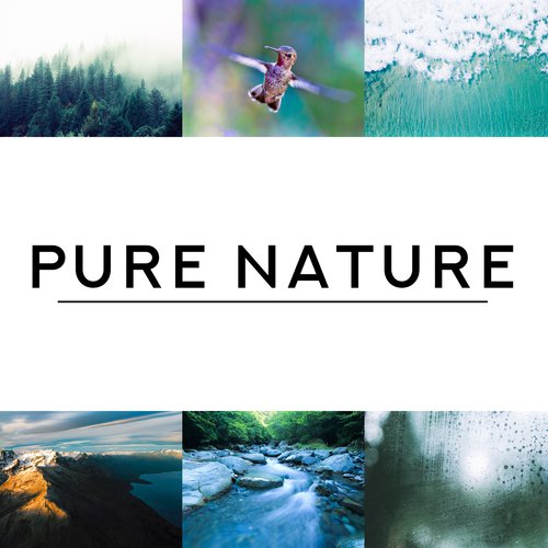 Pure Nature (Birds, Forest, Rain, Oceans, Rivers, and Waterfalls)