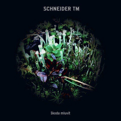 Schneider TM