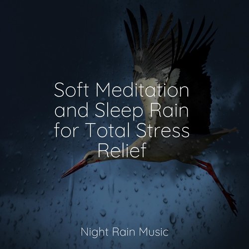 Rain, Storm and Thunder cover art