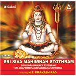 Sri Rudra Namaka Stothram