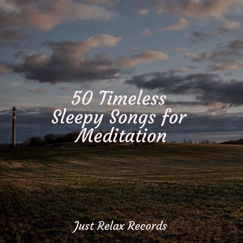 50 Timeless Sleepy Songs for Meditation